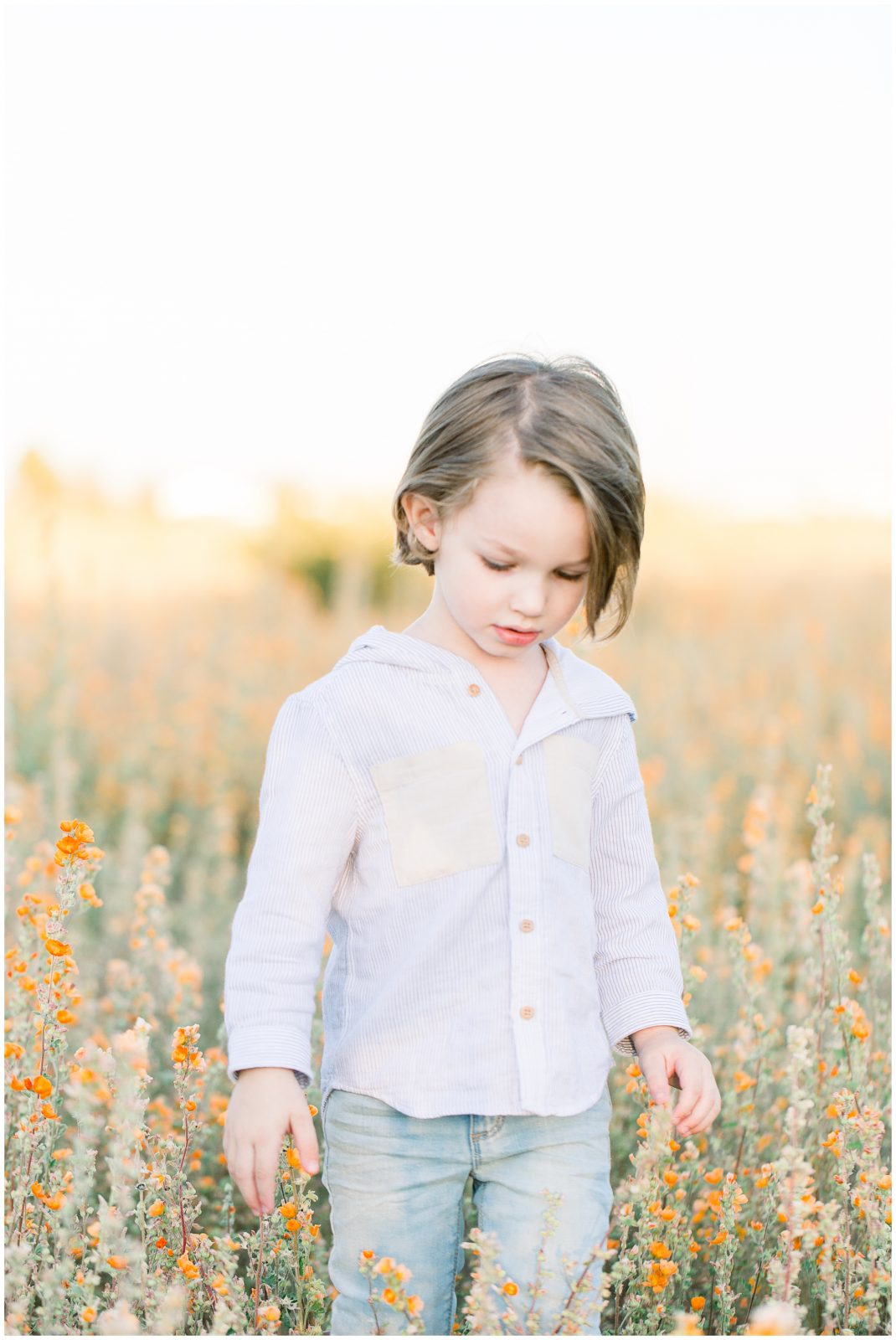 Aly-Kirk-Photo-Mesa-Arizona-Photographer-Family-Field-Flowers