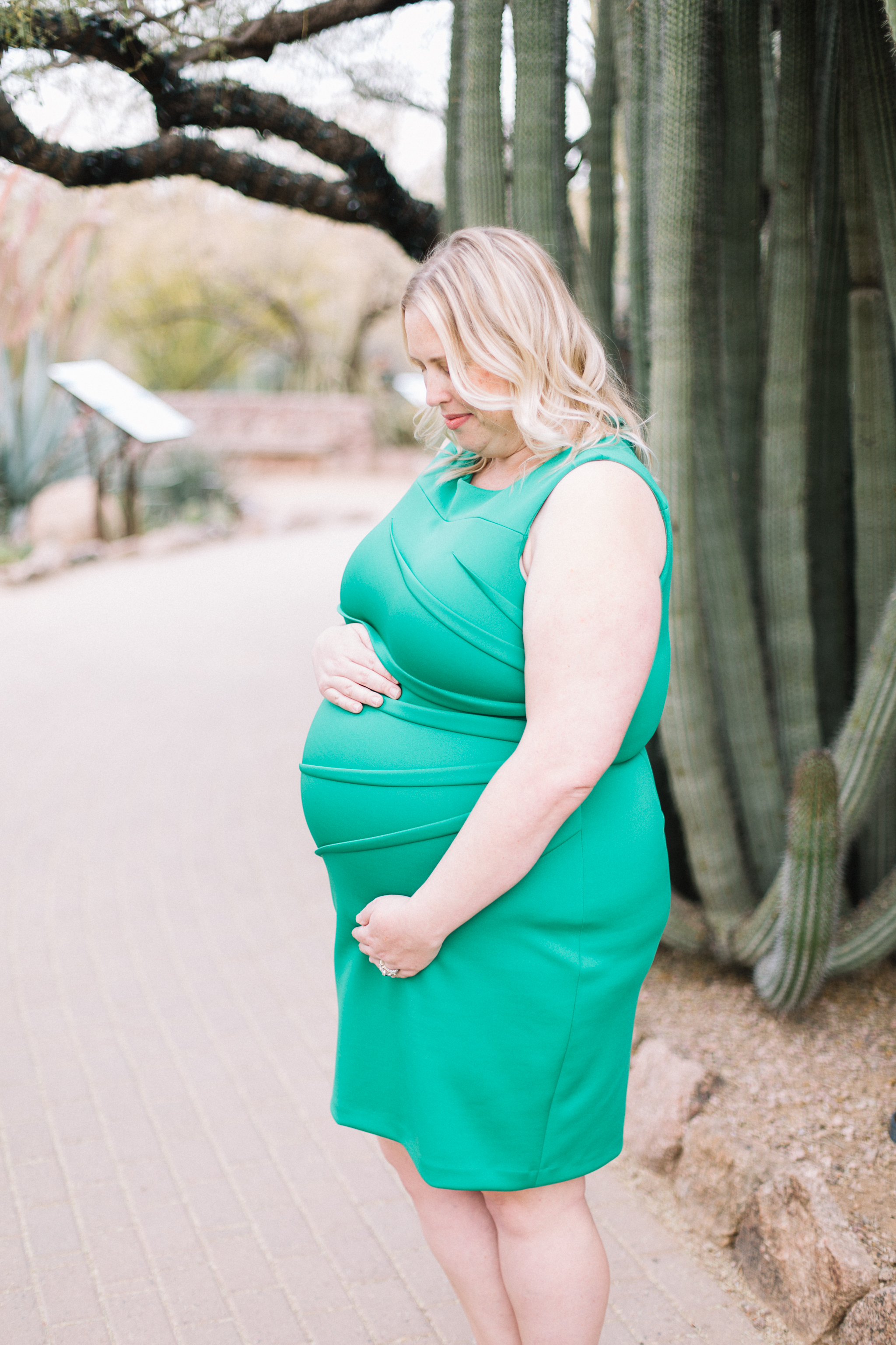 AlyKirkPhoto-ArizonaPhotographer-Desert-Botanical-Gardens-Maternity