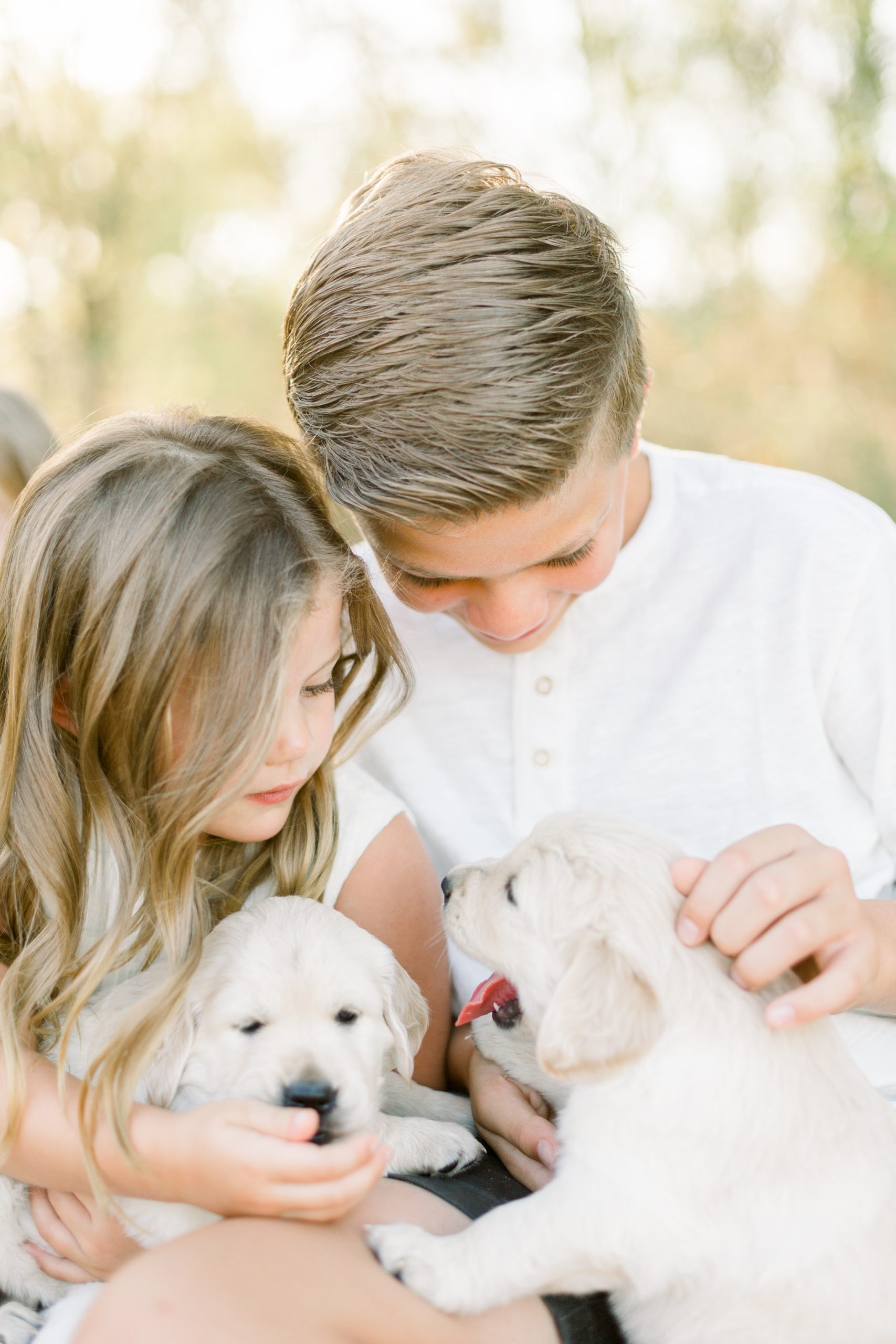 Aly-Kirk-Photo-Scottsdale-Family-Photographer-Kids-Puppies
